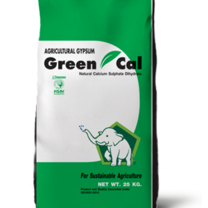 Greencal Gypsum Powder