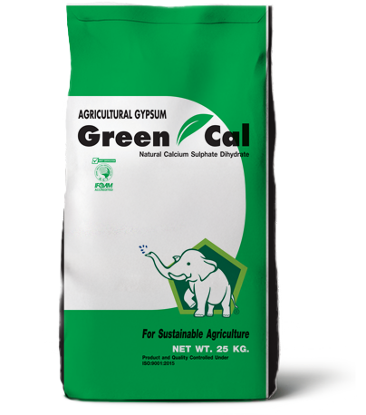 Greencal Gypsum Powder